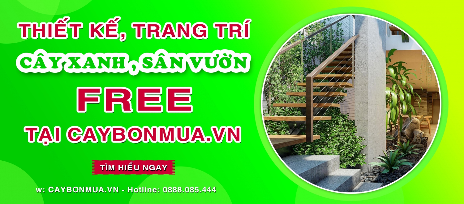 Giao diện website 